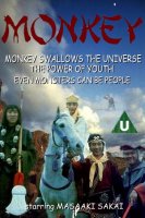 Aron Toman's design for Monkey video 2